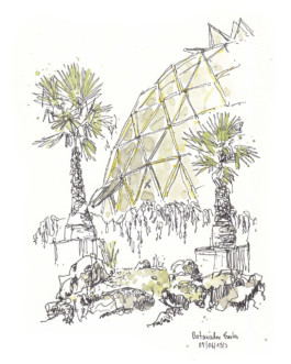 Zeichnung der Gewächshaus-Kuppel im Botanischen Garten Düsseldorf, davor zwei Palmen. 