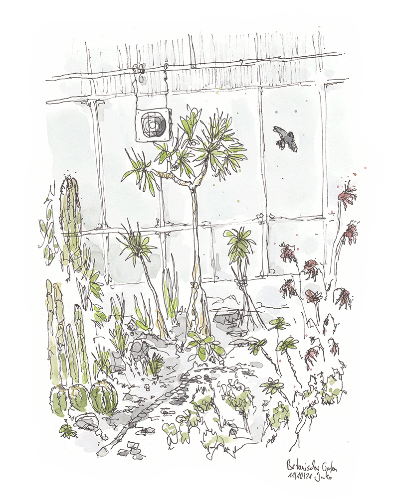 Animierte Zeichnung vom Botanischen Garten Krefeld. Das Gewächshause von drinnen, Kakteen, Palmen, ein Steinweg. An den Glasfenstern ein runder Ventilator, der sich dreht. Samen-Fallschirme fliegen nach vorn. 