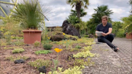 Urban Sketcher Janko Grode sitzt an einem Blumenbeet und zeichnet. Im Vordergrund eine gelbe Blume, im Hintergrund Palmen und die Kuppel des Botanischen Gartens Düsseldorf.